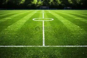 欧冠分析,流浪者新援,加入,澳客,澳客官方网站,aoke