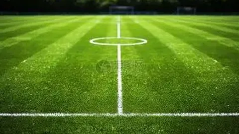 欧冠分析：流浪者新援加入，布鲁日联赛周末延期